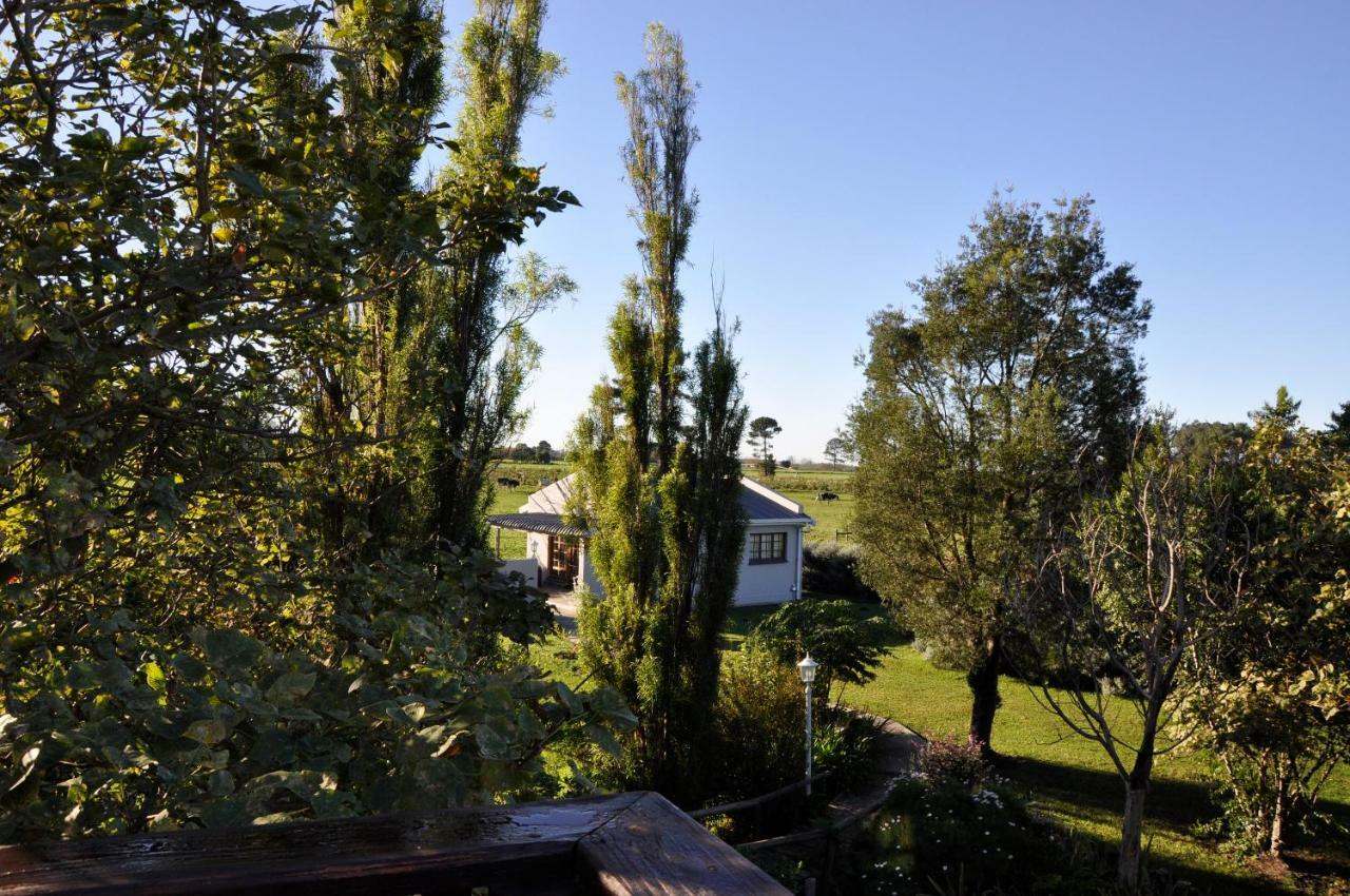 Tsitsikamma Gardens Cottages Self-Catering Cottages Sanddrif Zewnętrze zdjęcie